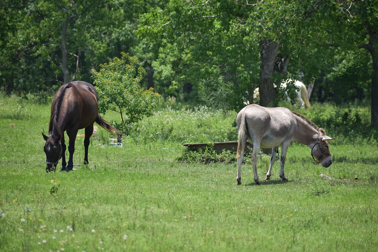 The Role of the MULE in Tactical Resupply Missions